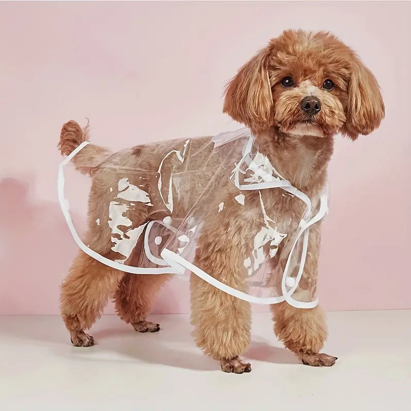 Ein toller Regenjacken-Poncho mit Kap für Kleine Hunde und Katten